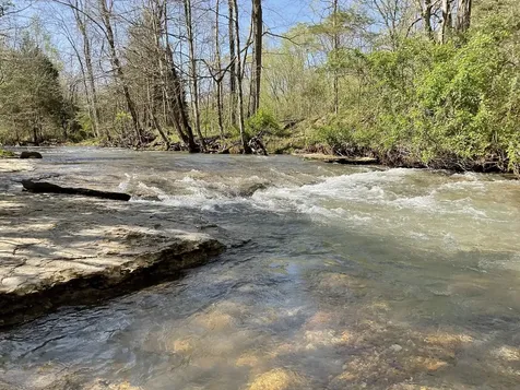 3712 Budds Creek Road Palmyra TN 37142