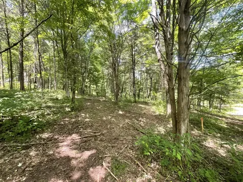 3712 Budds Creek Road Palmyra TN 37142