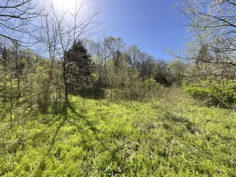 3712 Budds Creek Road Palmyra TN 37142