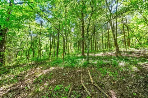 3712 Budds Creek Road Palmyra TN 37142