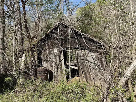 3712 Budds Creek Road Palmyra TN 37142