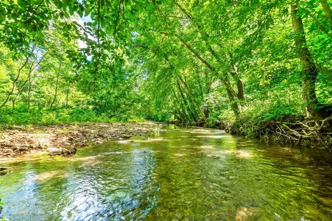 3712 Budds Creek Road Palmyra TN 37142