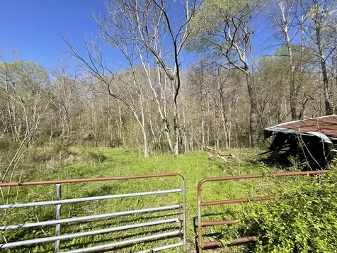 3712 Budds Creek Road Palmyra TN 37142