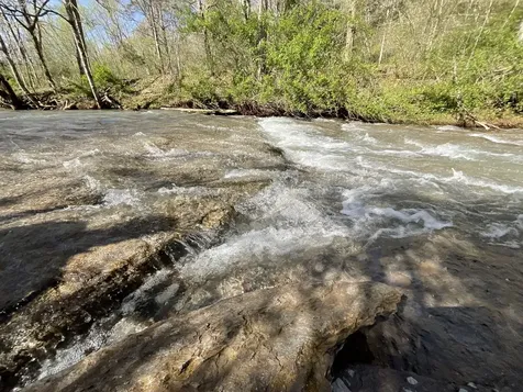 3712 Budds Creek Road Palmyra TN 37142