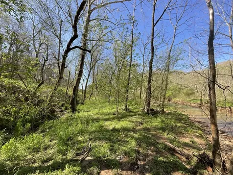 3712 Budds Creek Road Palmyra TN 37142
