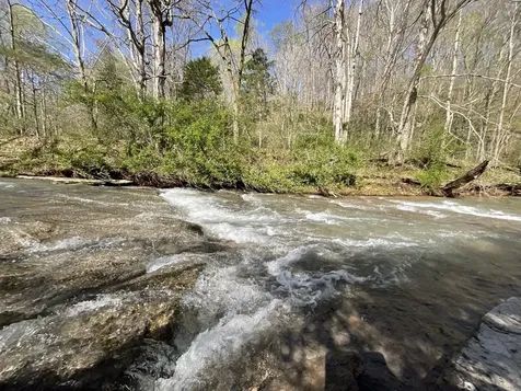 3712 Budds Creek Road Palmyra TN 37142