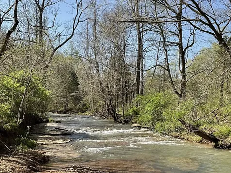 3712 Budds Creek Road Palmyra TN 37142