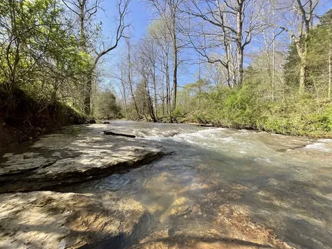 3712 Budds Creek Road Palmyra TN 37142