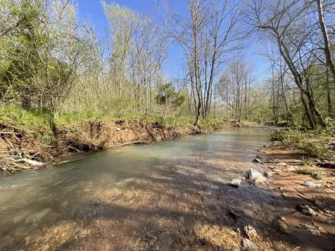 3712 Budds Creek Road Palmyra TN 37142