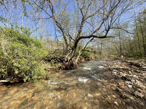 3712 Budds Creek Road Palmyra TN 37142