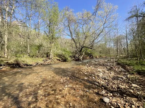 3712 Budds Creek Road Palmyra TN 37142