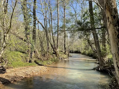 3712 Budds Creek Road Palmyra TN 37142