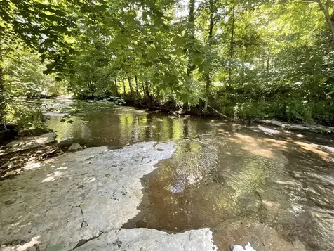 3712 Budds Creek Road Palmyra TN 37142