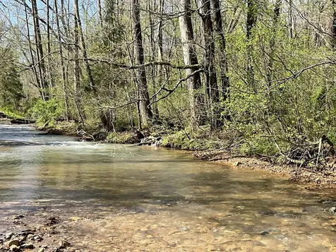 3712 Budds Creek Road Palmyra TN 37142