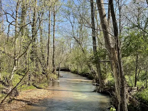 3712 Budds Creek Road Palmyra TN 37142