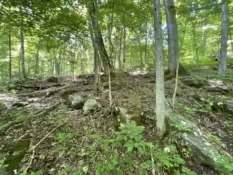 3712 Budds Creek Road Palmyra TN 37142
