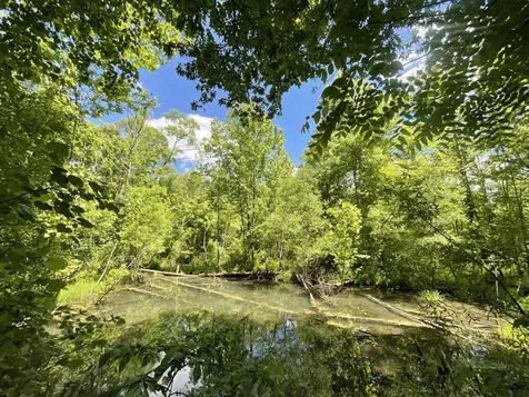3712 Budds Creek Road Palmyra TN 37142