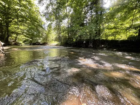 3712 Budds Creek Road Palmyra TN 37142