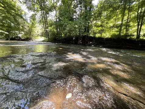 3712 Budds Creek Road Palmyra TN 37142