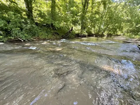 3712 Budds Creek Road Palmyra TN 37142