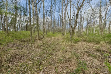 0 Turney Road Auburntown TN 37016