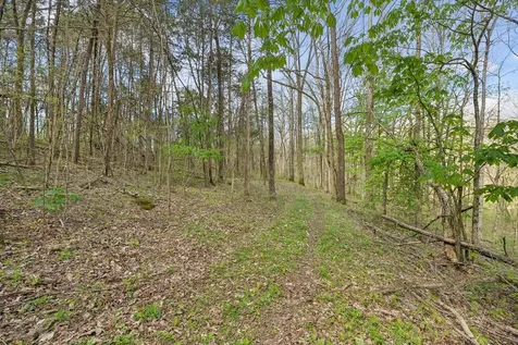 0 Turney Road Auburntown TN 37016