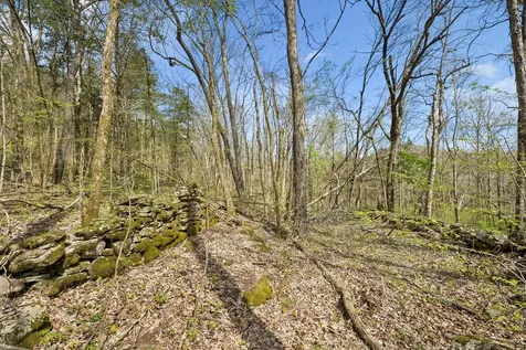 0 Turney Road Auburntown TN 37016