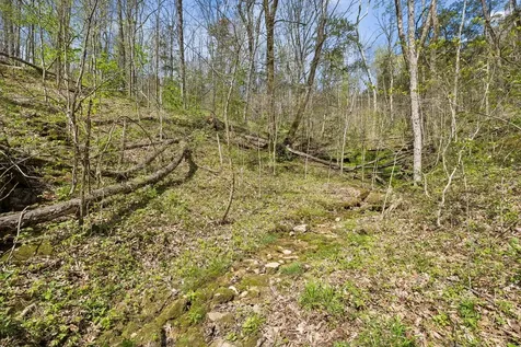 0 Turney Road Auburntown TN 37016