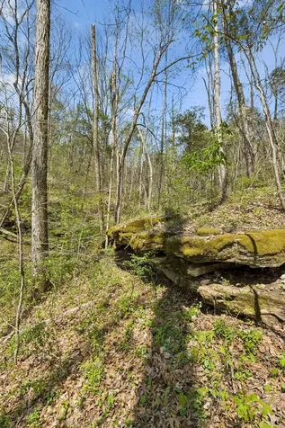 0 Turney Road Auburntown TN 37016