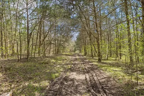 0 Turney Road Auburntown TN 37016