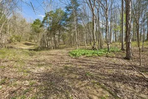 0 Turney Road Auburntown TN 37016
