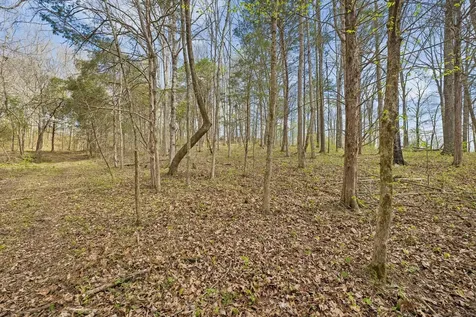 0 Turney Road Auburntown TN 37016