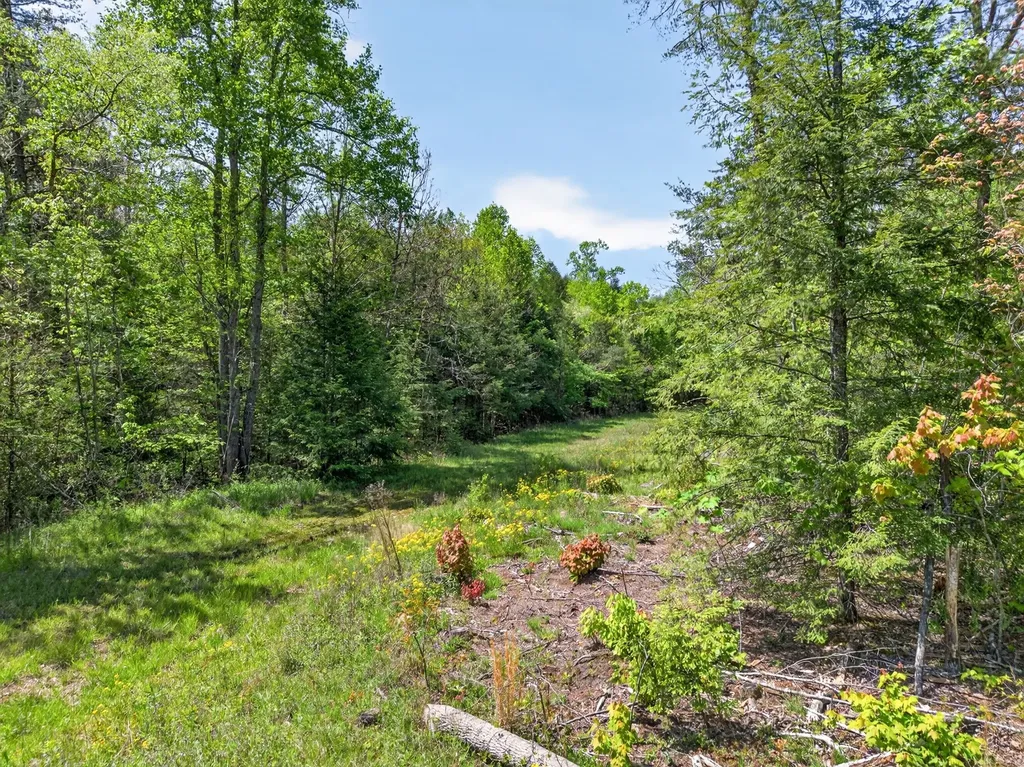 18459 Clarkrange Highway Monterey TN 38574