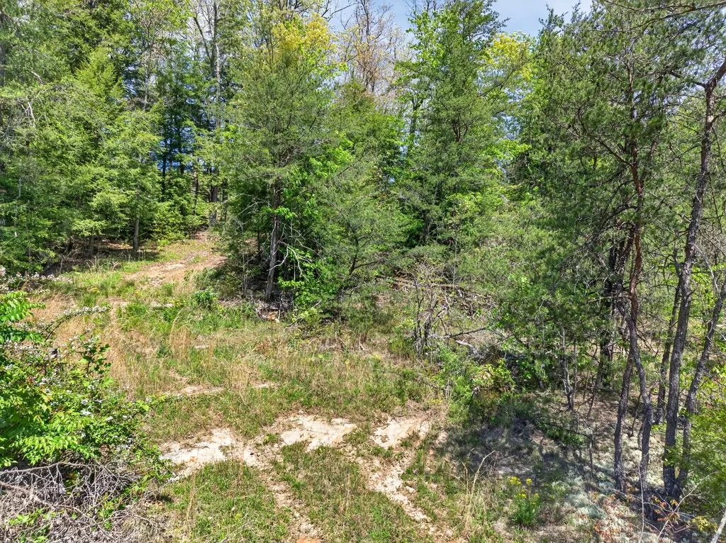 18459 Clarkrange Highway Monterey TN 38574