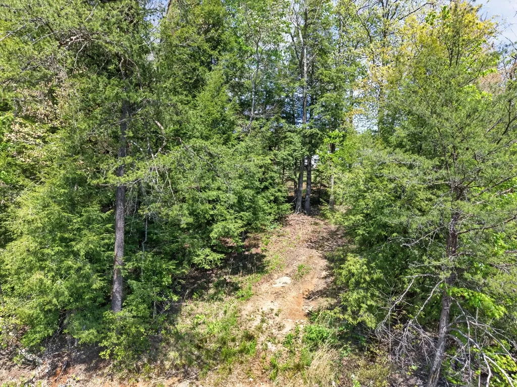 18459 Clarkrange Highway Monterey TN 38574