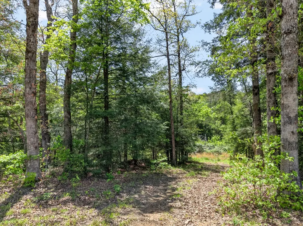 18459 Clarkrange Highway Monterey TN 38574