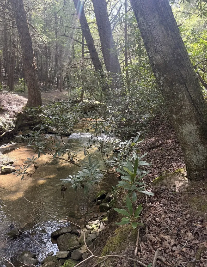 18459 Clarkrange Highway Monterey TN 38574