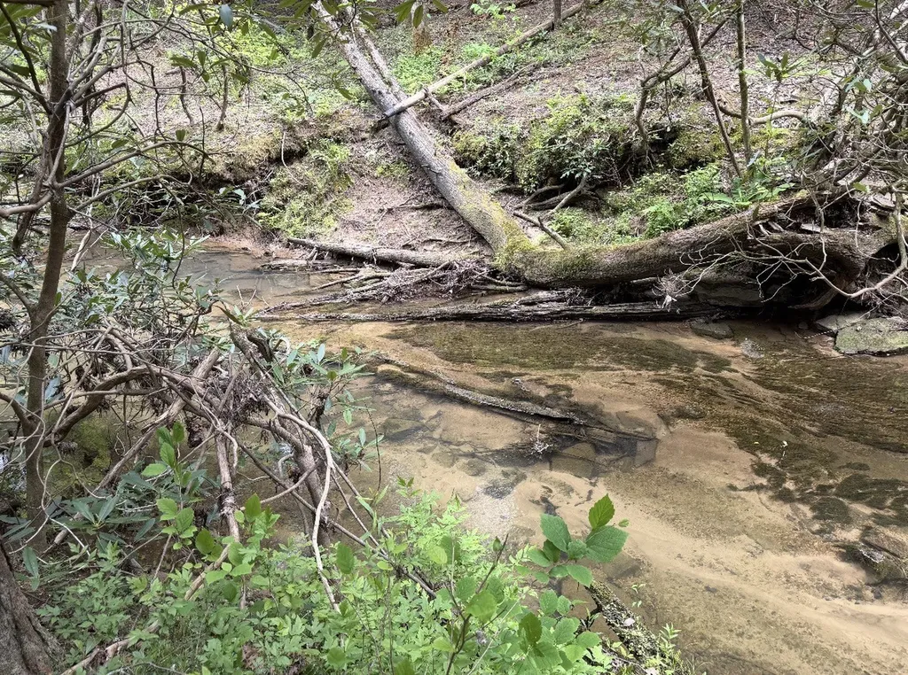 18459 Clarkrange Highway Monterey TN 38574