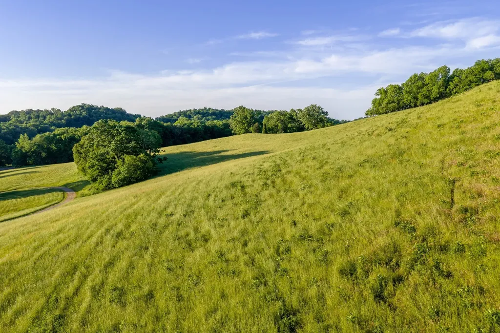 3210 Morel Road Columbia TN 38401