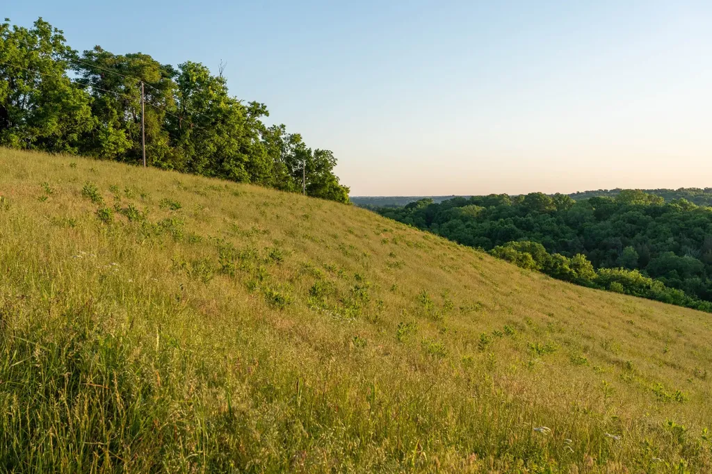 3210 Morel Road Columbia TN 38401
