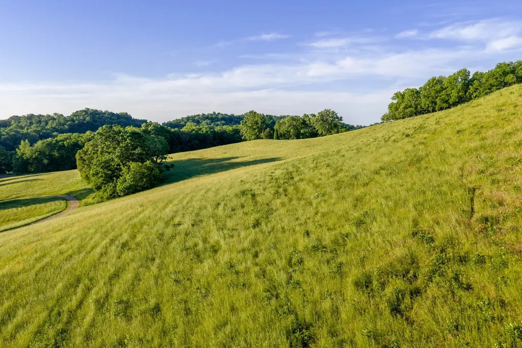 3210 Morel Road Columbia TN 38401
