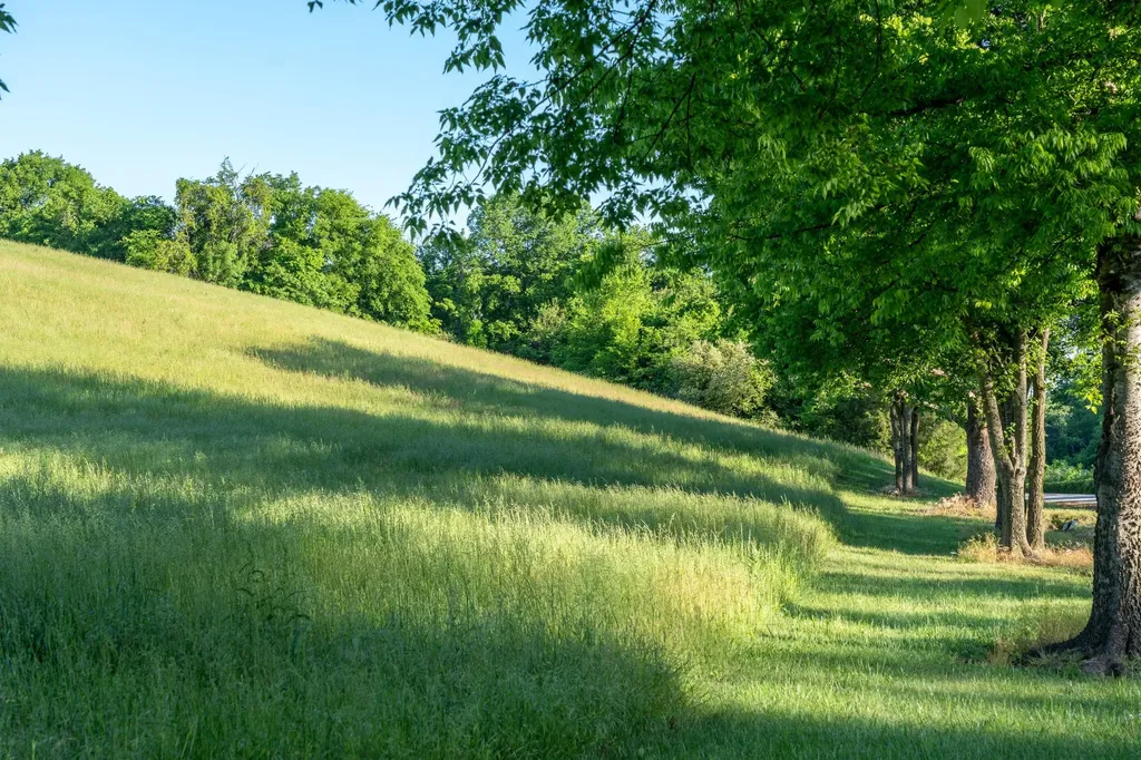 3210 Morel Road Columbia TN 38401