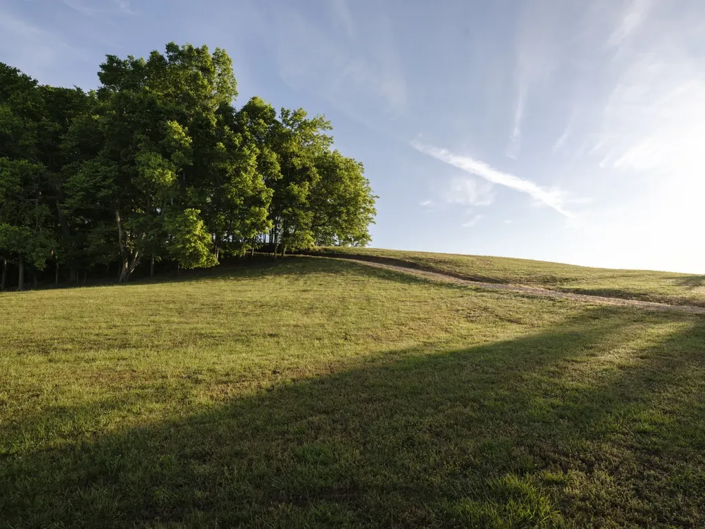 3210 Morel Road Columbia TN 38401