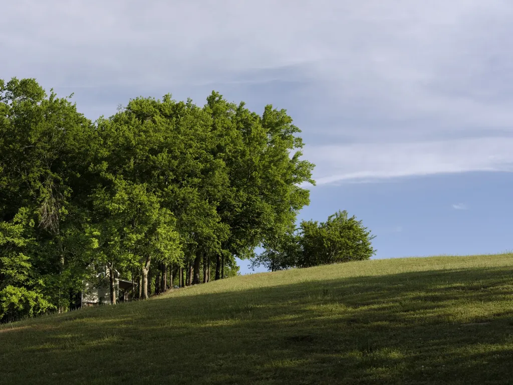 3210 Morel Road Columbia TN 38401