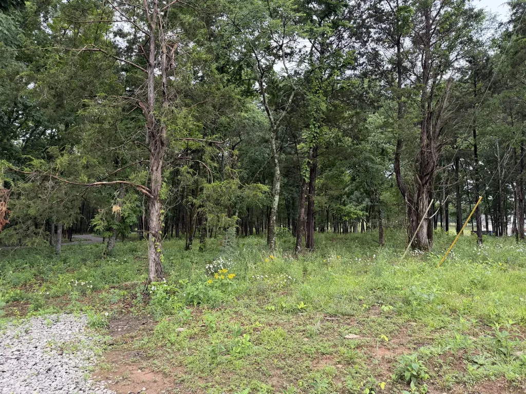 2827 Unionville Road Chapel Hill TN 37034
