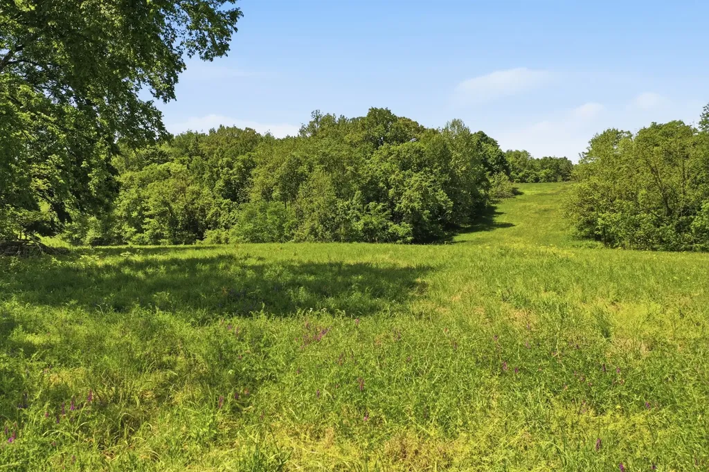 6 Gholson Road Clarksville TN 37043