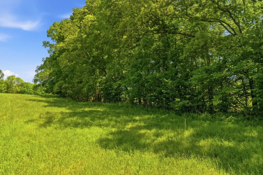 6 Gholson Road Clarksville TN 37043