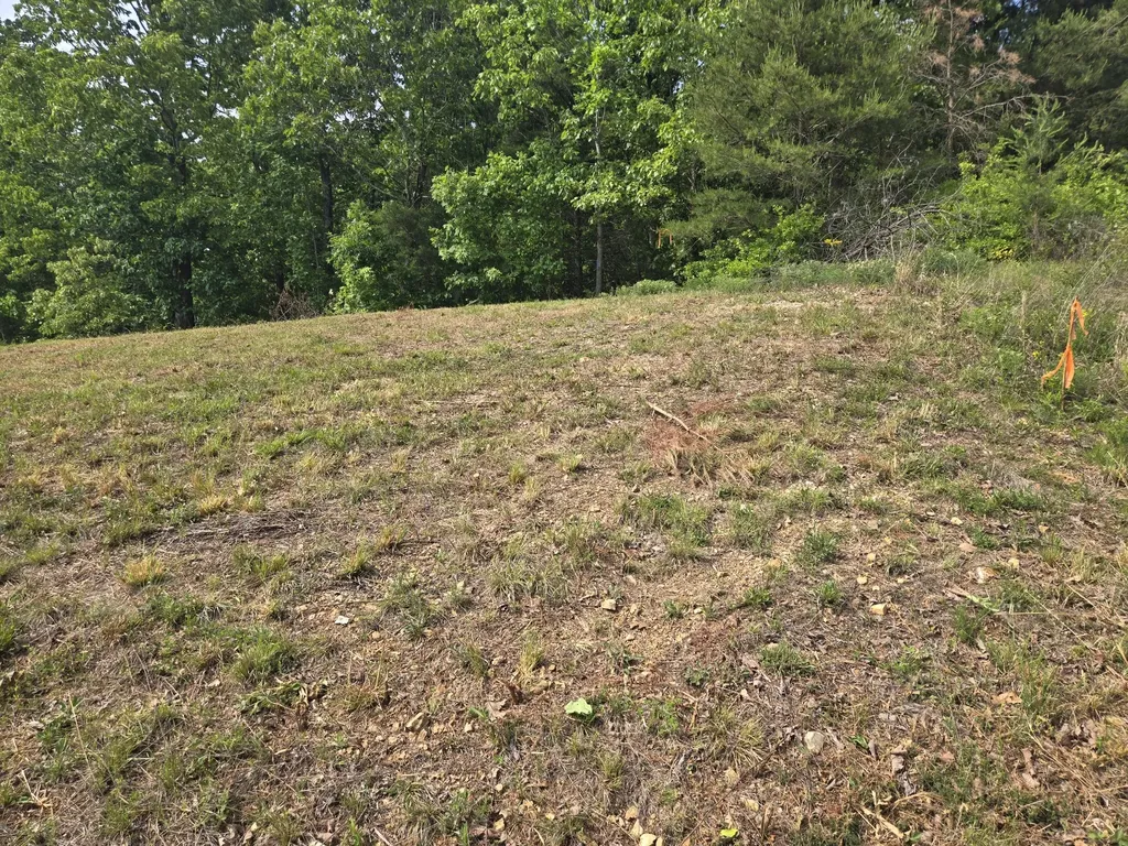 2 Turtle Point Waverly TN 37185