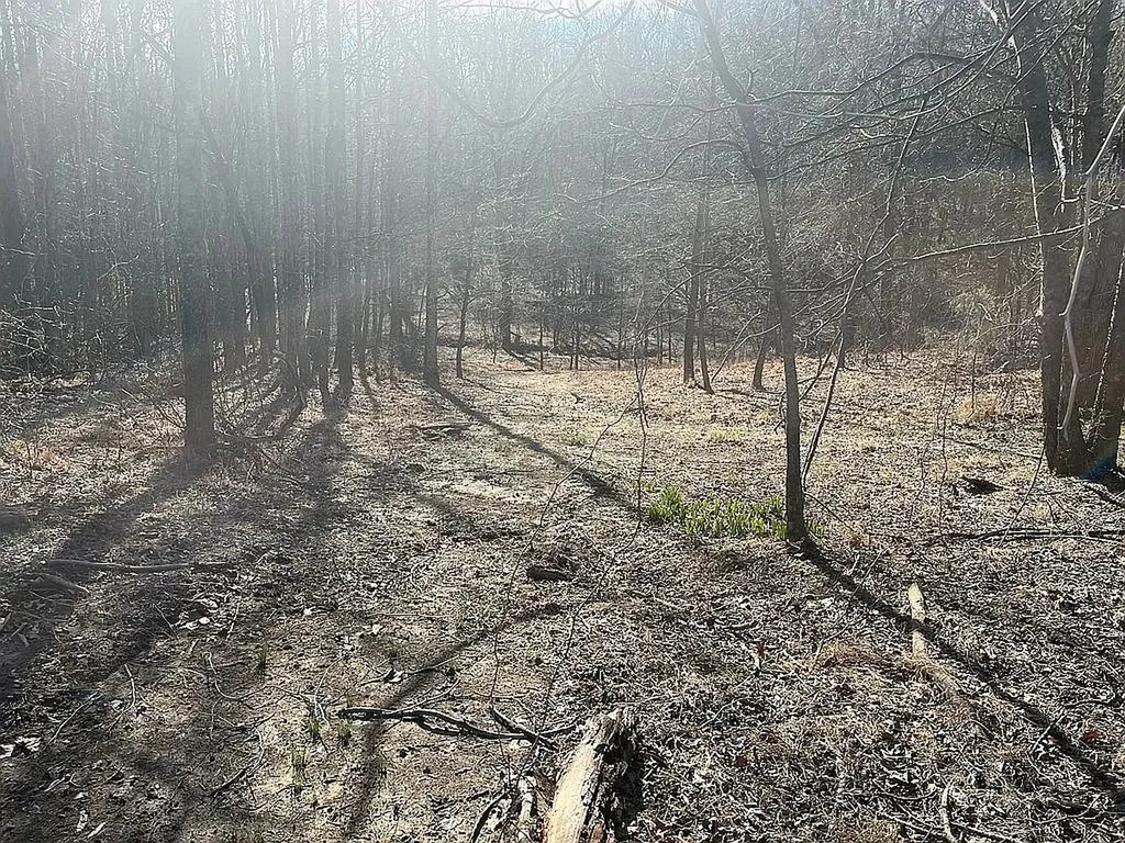 926 Half Acre Road Smithville TN 37166