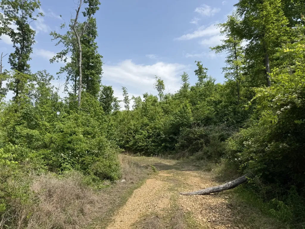 0 Hohenwald Highway Waynesboro TN 38485
